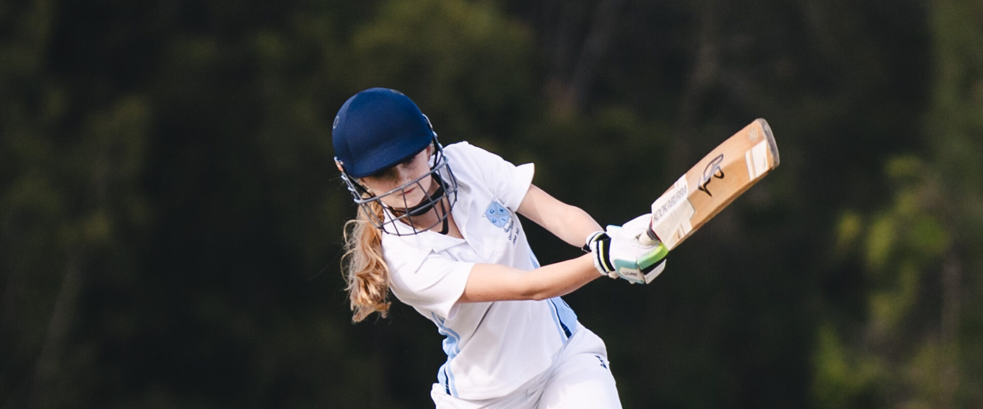 cricket-banner